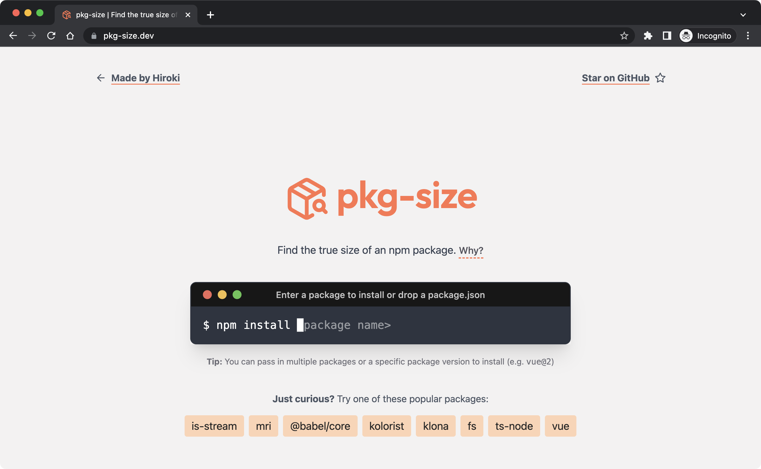 Screenshot of pkg-size.dev