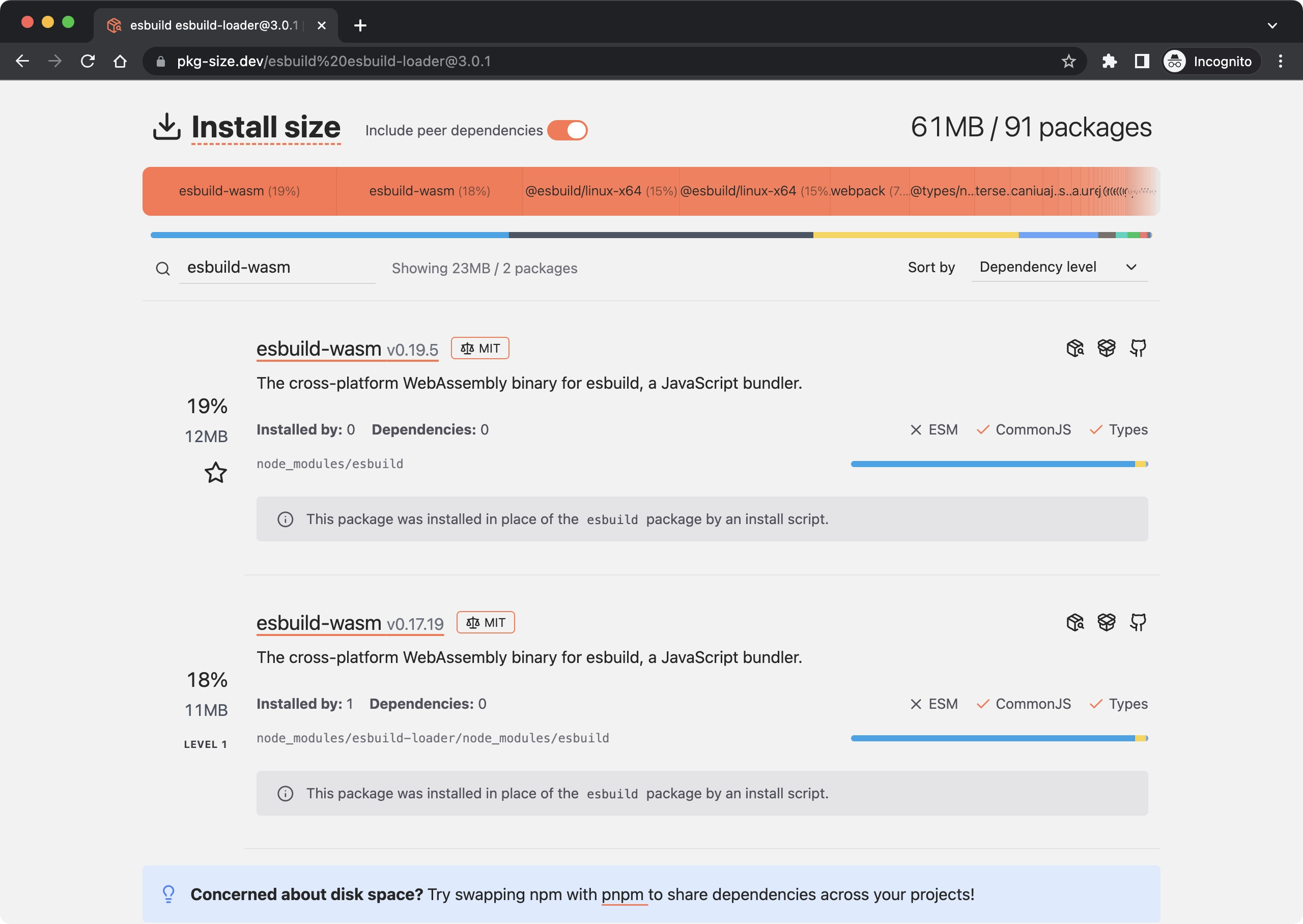 Two versions of esbuild installed